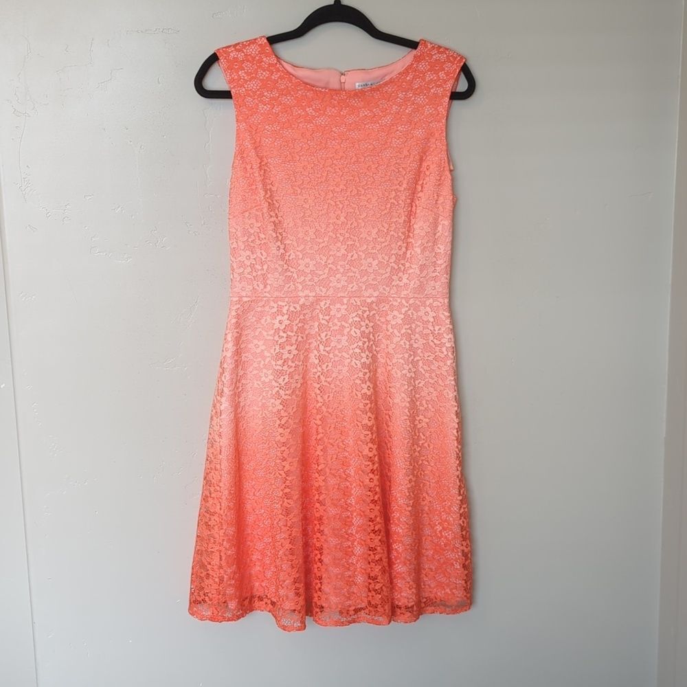 Sandra Darren Sleeveless Pink Ombre Lined Summer Midi Dress 8
